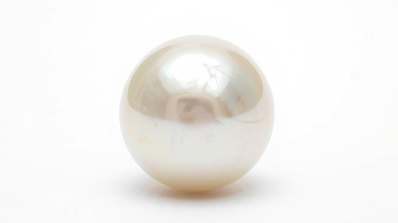 South Sea Pearl (Moti)